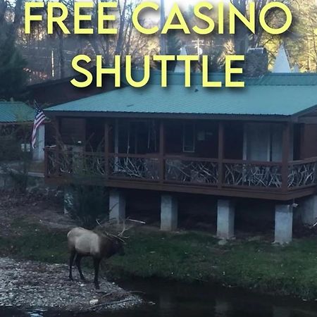 Whittier Qualla Cabins And Motel Cherokee Near Casino מראה חיצוני תמונה