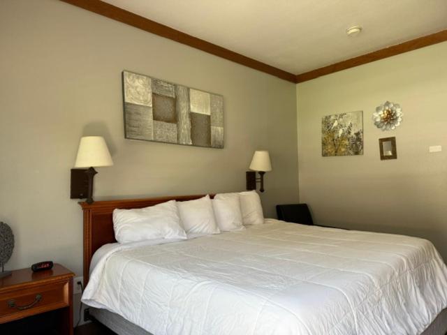 Whittier Qualla Cabins And Motel Cherokee Near Casino מראה חיצוני תמונה