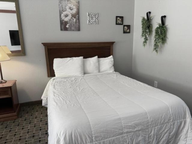Whittier Qualla Cabins And Motel Cherokee Near Casino מראה חיצוני תמונה